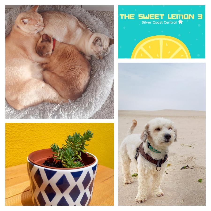 The Sweet Lemon 3 Leilighet Bombarral Eksteriør bilde